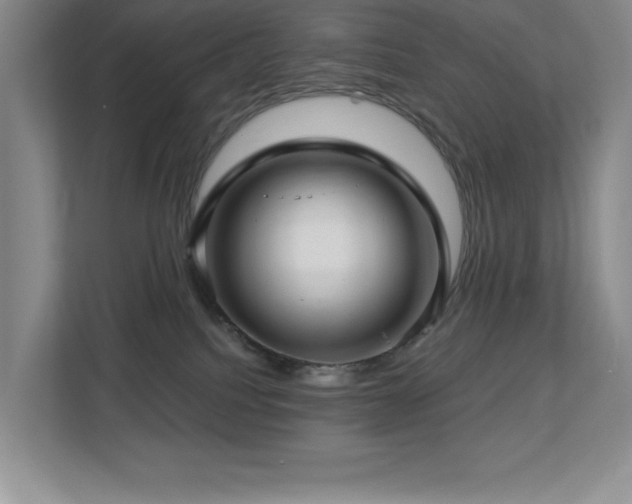 X0000112740088200908201355