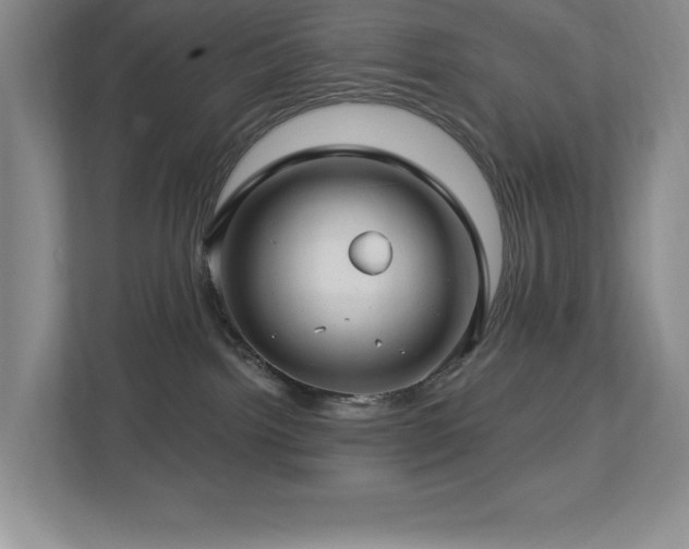 X0000112740092200908201355