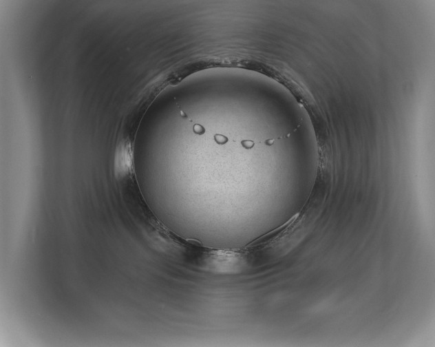 X0000112740095200908201355