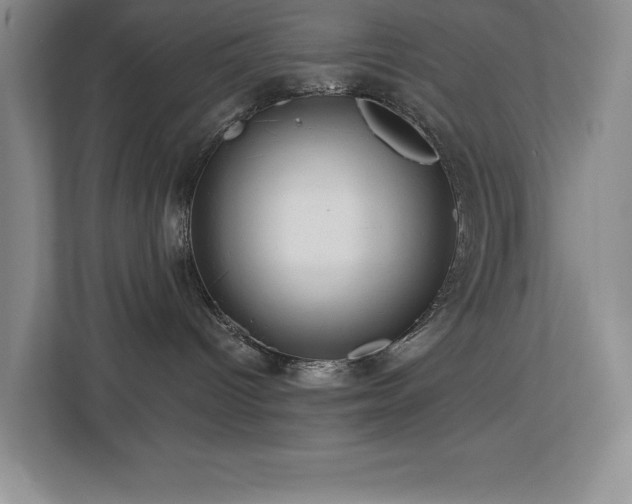 X0000112740096200908201355