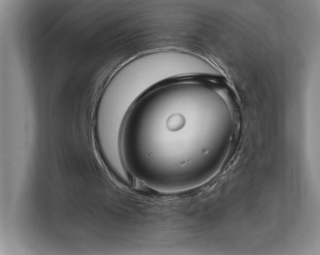 X0000112740097200908201354