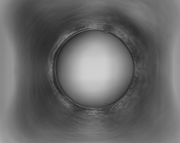 X0000112740098200908201354