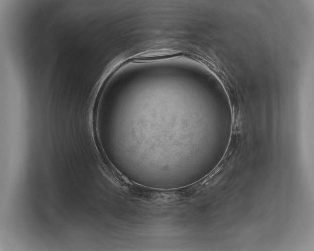 X0000112740099200908201354