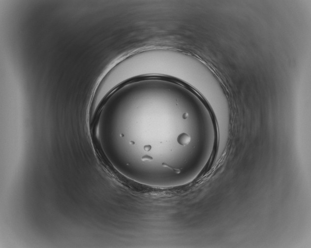 X0000112740100200908201354