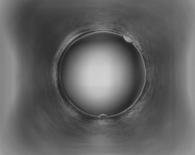 X0000112740103200908201354