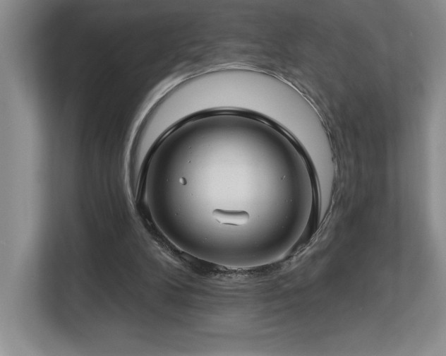 X0000112740104200908201354