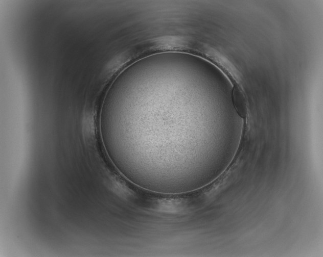 X0000112740105200908201354