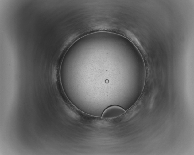 X0000112740106200908201354