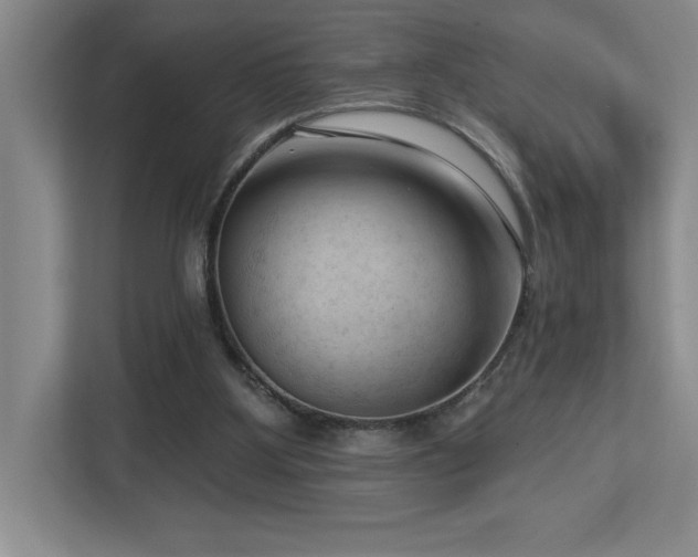 X0000112740107200908201354