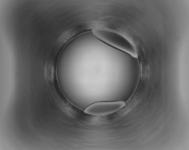 X0000112740109200908201354