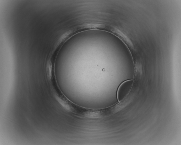 X0000112740110200908201354