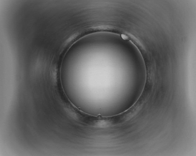 X0000112740111200908201354