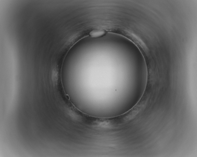 X0000112740113200908201354