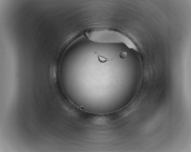 X0000112740115200908201354