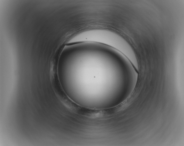 X0000112740116200908201354