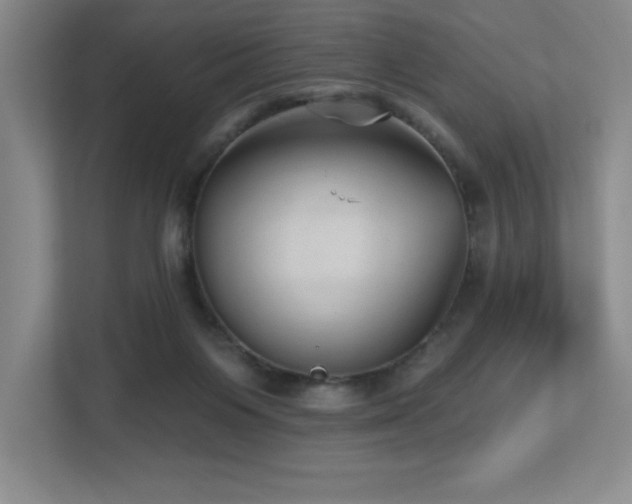 X0000112740119200908201354