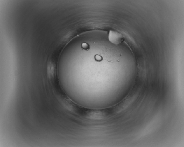 X0000112740123200908201354