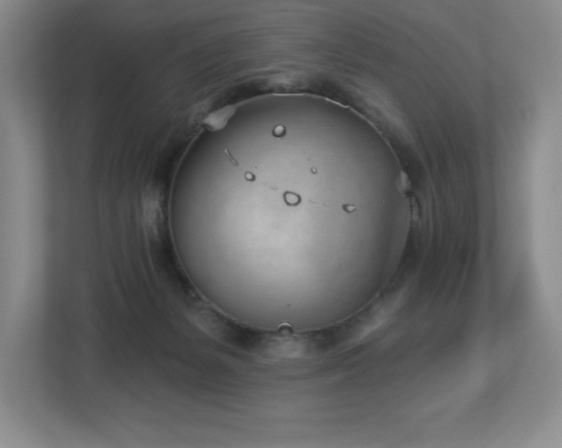 X0000112740127200908201354