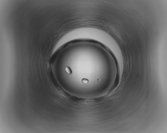 X0000112740128200908201354