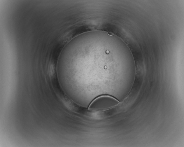 X0000112740130200908201354