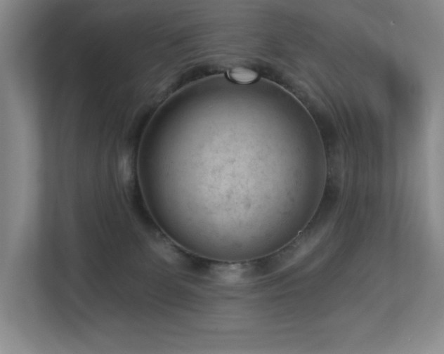 X0000112740131200908201354