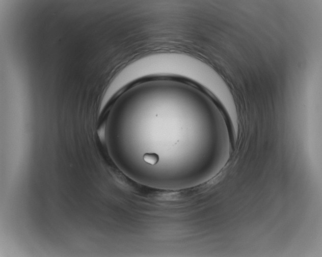 X0000112740132200908201354