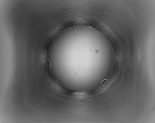 X0000112740133200908201354