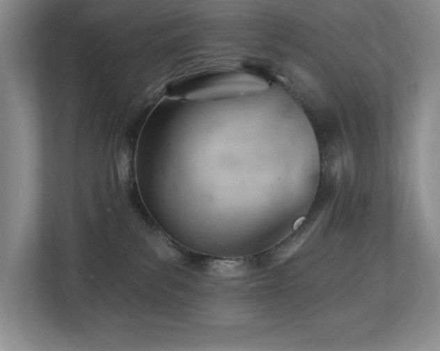 X0000112740139200908201354