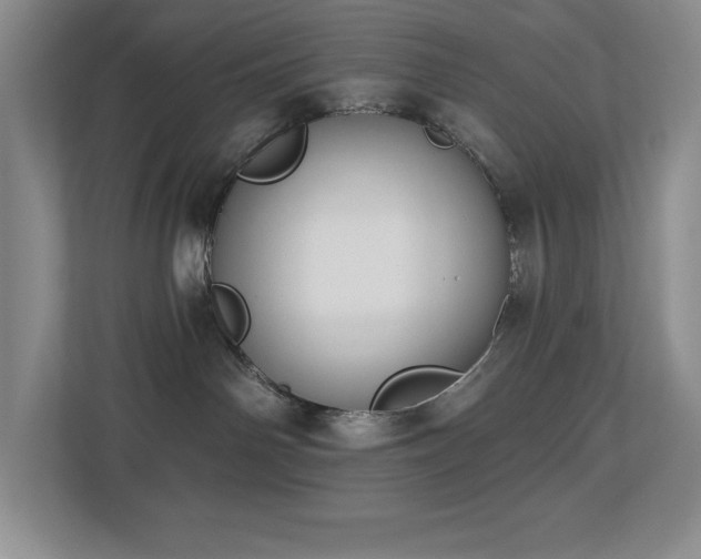 X0000112740142200908201354