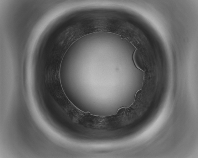 X0000112740143200908201354