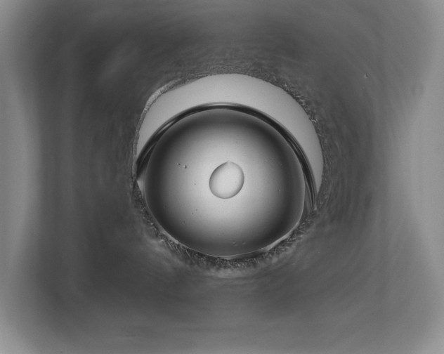 X0000112740144200908201354
