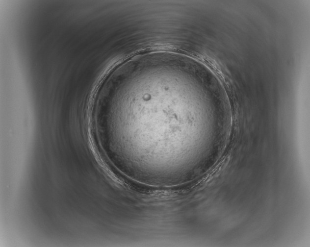 X0000112740145200908201353