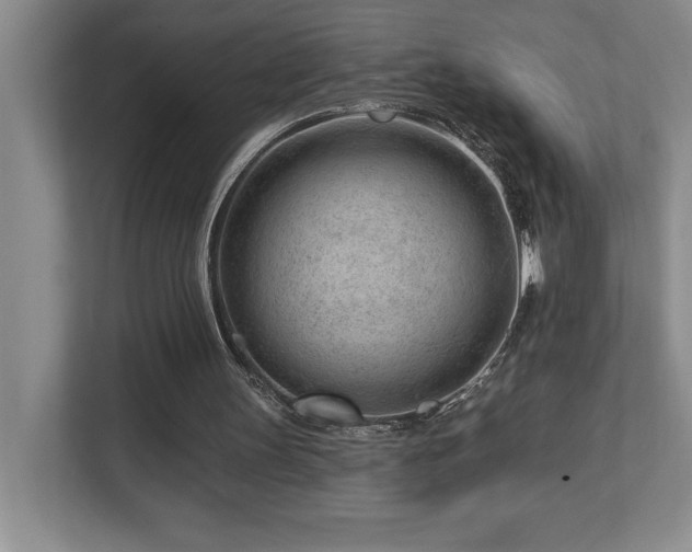 X0000112740147200908201353