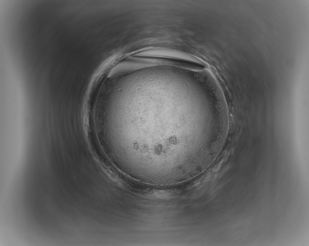 X0000112740149200908201353