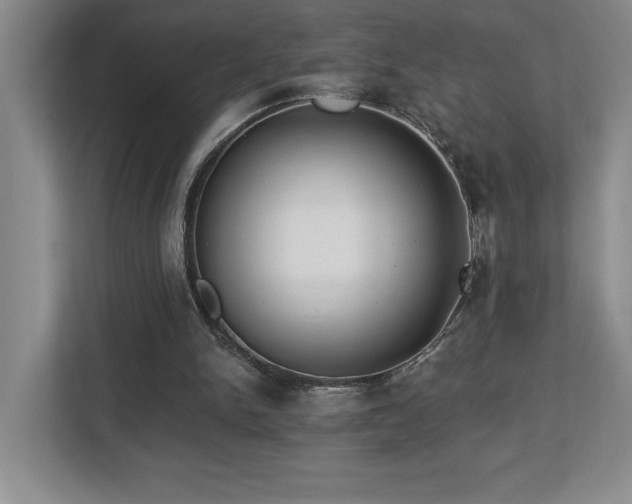 X0000112740150200908201353