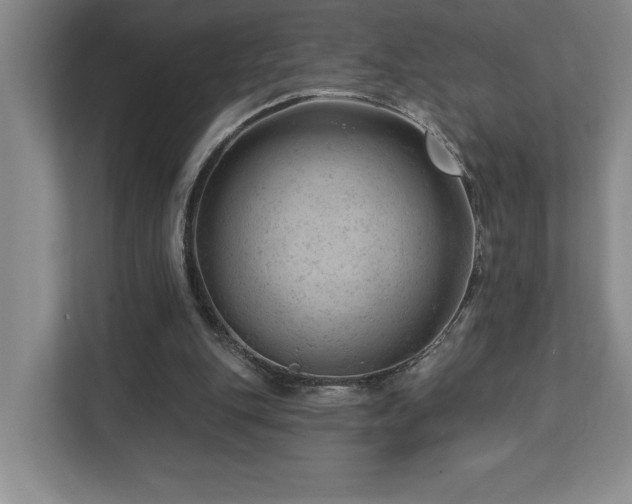 X0000112740151200908201353