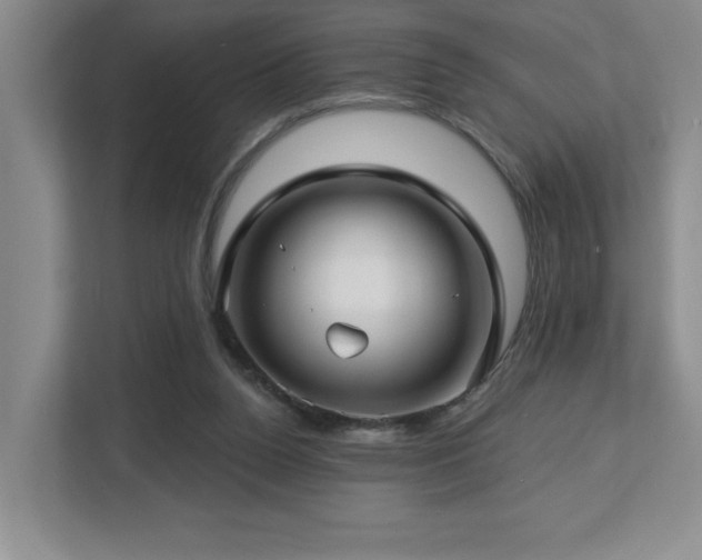 X0000112740160200908201353