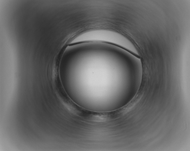 X0000112740164200908201353