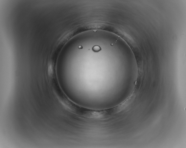 X0000112740166200908201353
