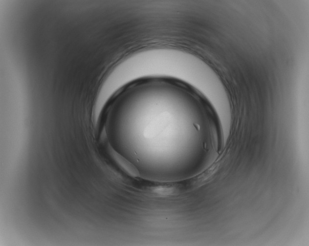 X0000112740168200908201353