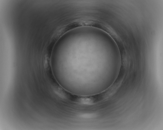 X0000112740169200908201353