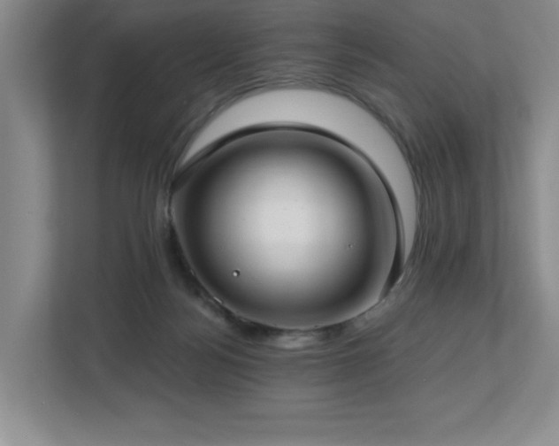 X0000112740172200908201353