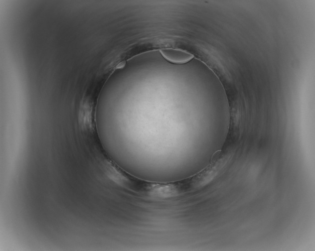 X0000112740185200908201354