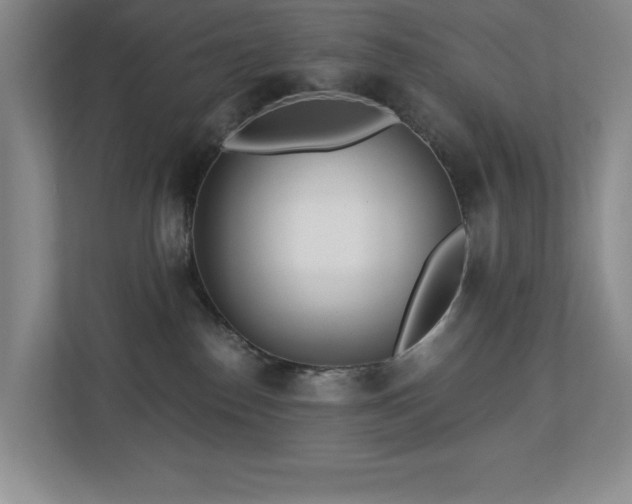 X0000112740186200908201354