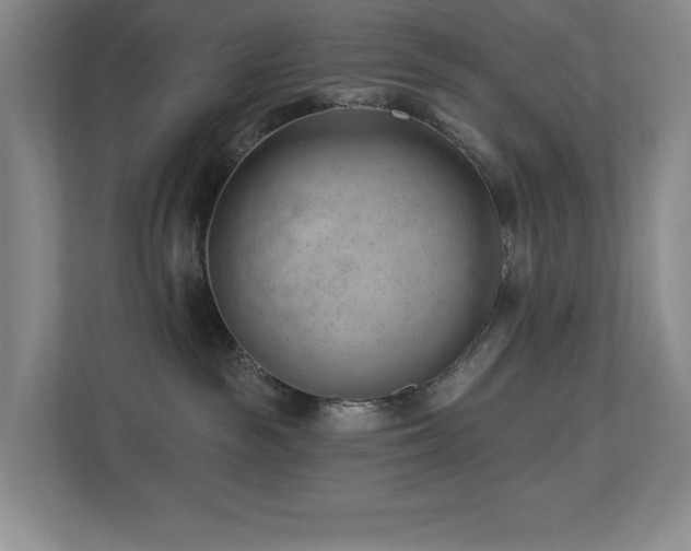 X0000112740189200908201354
