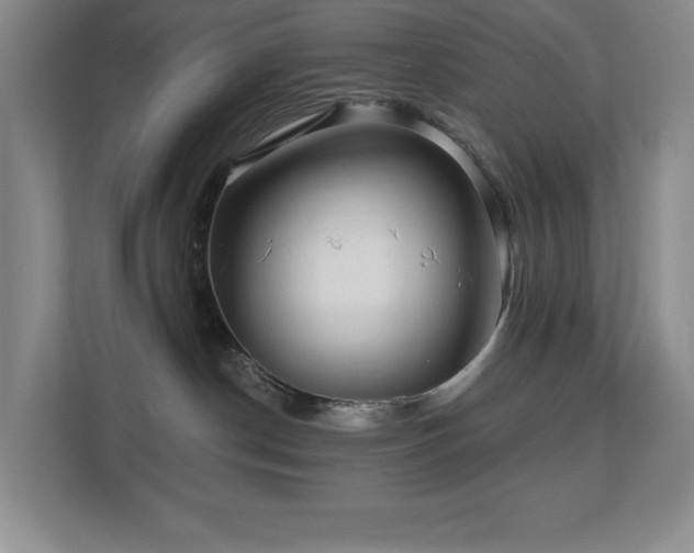 X0000112740190200908201354