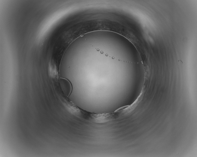 X0000112740191200908201354