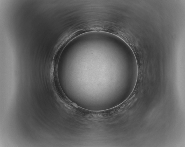 X0000112740194200908201353
