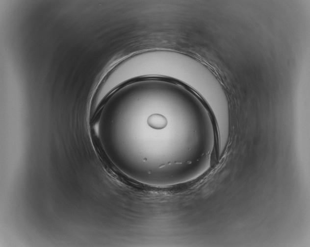 X0000112740195200908201353