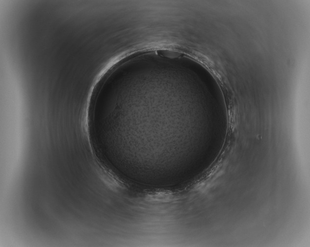 X0000112740196200908201353